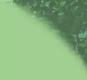 topright.jpg