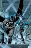 etiqueta_picture/img/batmannightwing-488.jpg