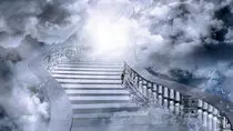 owls/amazing-stairway-to-heaven.jpg