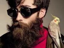 isson-eyewear-designer-sunglasses-2012-02.jpg