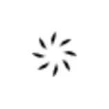 loading.gif