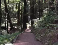 pacific4/trail.jpg
