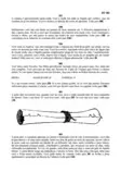 Paginas/0107.jpg