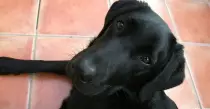 jake-bg.jpg