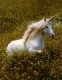 unicorn.jpg