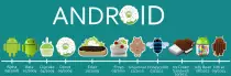 Images/Android03.jpg