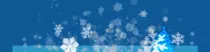 images/header.gif