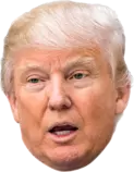 donald.png