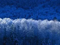 images/Winter.jpg
