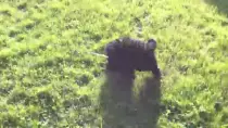 img/peeper.gif