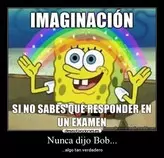 imagen1.jpg
