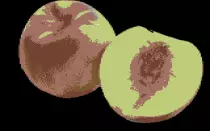 Nectarine Gaming!.png
