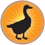 week1/blackgoose.png
