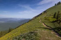 images/mountain.jpg