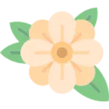myapp3/flower.png