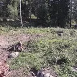 upplandsbro/upplandsbro-tomt1.jpg