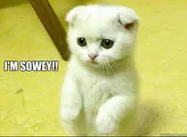 error_kitty.jpg