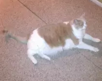 Pet Gallery/6 JY.jpg