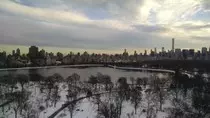 Photos/CP_Jonas.jpg