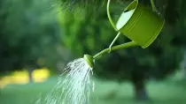 watering can.jpg